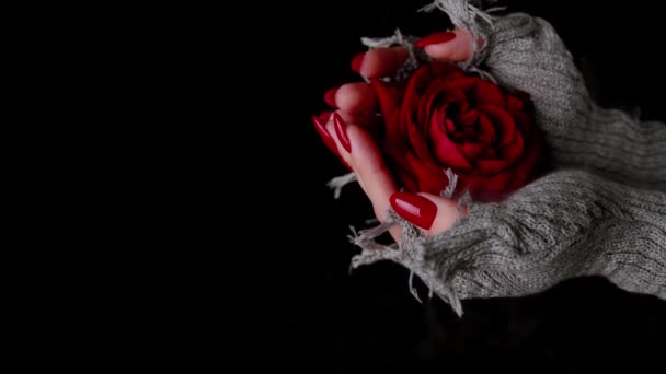 Frauenhände mit roter Rose auf schwarzem Hintergrund mit ableitendem Dampf. Eine unkenntliche Frau mit roter Maniküre in stylischen Strickhandschuhen, die Rosenknospen zeigen. Konzept von Schönheit und Romantik. — Stockvideo