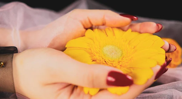 จากด านบนของพ รนามท การท าเล แดงอ นเทรนด อในม อของเขา ดอกไม — ภาพถ่ายสต็อก