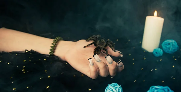 배경에 증기를 머금은 커다란 거미와 매니큐어를 사람을 손톱에 무늬가 잡아라 — 스톡 사진