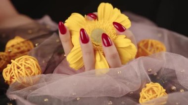 Elinde modaya uygun kırmızı manikürlü meçhul kadınların arasından... parlak sarı Gerbera çiçeğini karanlık odada tutuyor.