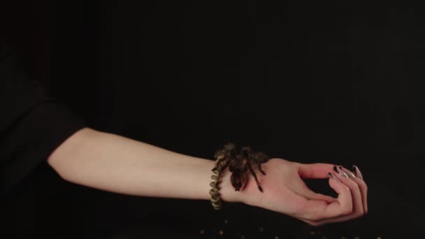 Unga flickor hand med manikyr och stor spindel med ånga på svart bakgrund. Beskär oigenkännlig person med design på naglar. Begreppet vård och skönhet. — Stockvideo