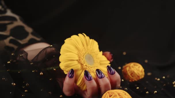 Adult womans hand with purple manicure on black background. Crop unrecognizable person with design on nails holding yellow flower. — Stock Video