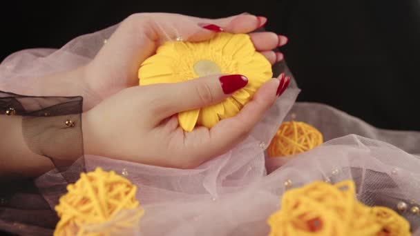 De cima da colheita mulheres anônimas com manicure vermelho na moda mantém em suas mãos amarelo brilhante Gerbera flor no quarto escuro — Vídeo de Stock