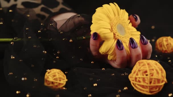 Wanita dewasa tangan dengan manikur ungu di latar belakang hitam. Tanaman orang yang tidak dikenali dengan desain pada kuku memegang bunga kuning. — Stok Video