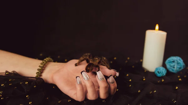 Young Girl Hand Manicure Big Spider Black Background Crop Unrecognizable — Stock Photo, Image