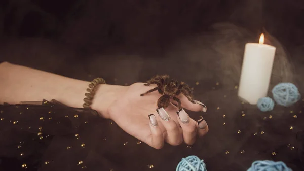 Young Girl Hand Manicure Big Spider Steam Black Background Crop — Stock Photo, Image