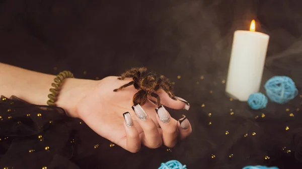 Young Girl Hand Manicure Big Spider Steam Black Background Crop — Stock Photo, Image