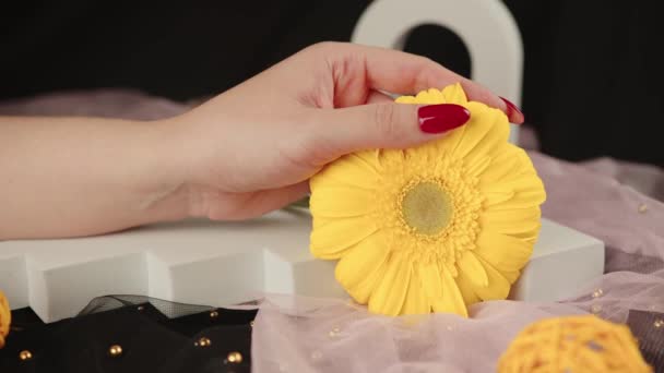 Από πάνω της καλλιέργειας ανώνυμες γυναίκες με μοντέρνο κόκκινο μανικιούρ κρατά στα χέρια του φωτεινό κίτρινο λουλούδι Gerbera στο σκοτεινό δωμάτιο — Αρχείο Βίντεο