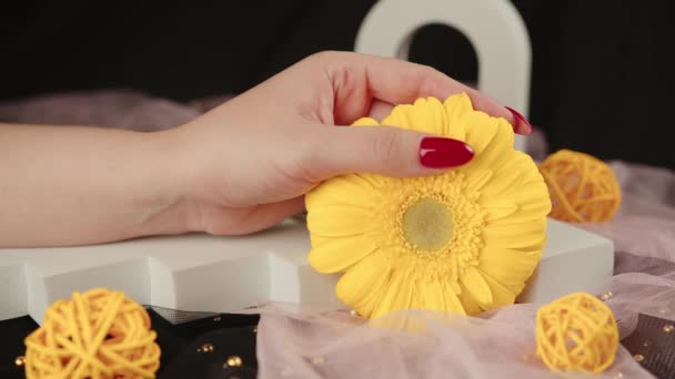 Desde arriba de la cosecha mujeres anónimas con manicura roja de moda sostiene en sus manos flor Gerbera amarillo brillante en habitación oscura — Vídeos de Stock