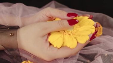 Elinde modaya uygun kırmızı manikürlü meçhul kadınların arasından... parlak sarı Gerbera çiçeğini karanlık odada tutuyor.