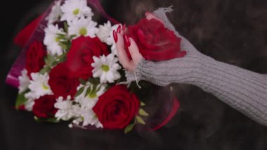 Kırmızı gül goncasıyla kadın eli. Şık örgü eldivenli kadın eli. Siyah arka planda çiçek buketli çiçek başlı..