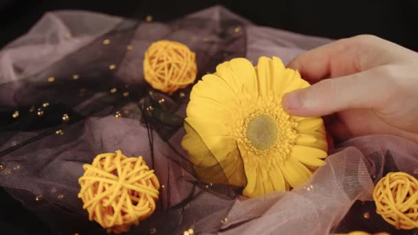 Από πάνω της καλλιέργειας ανώνυμες γυναίκες με μοντέρνο κόκκινο μανικιούρ κρατά στα χέρια του φωτεινό κίτρινο λουλούδι Gerbera στο σκοτεινό δωμάτιο — Αρχείο Βίντεο