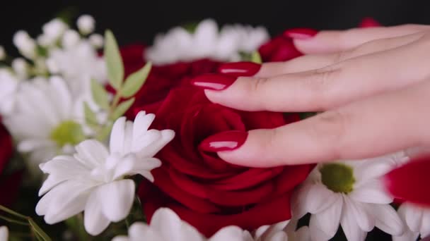 Kvinnors hand vidrör ros. Kvinnliga hand smekande blomblad. Närbild. — Stockvideo