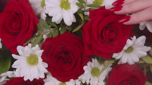 Mão das mulheres tocando rosa. Mão feminina acariciando pétalas de flores. Fechar. — Vídeo de Stock