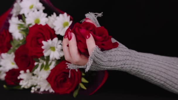 Mão de mulher com botão de rosa vermelho. Mão feminina em luva de malha elegante com cabeça de flor no fundo preto com buquê de flores. — Vídeo de Stock