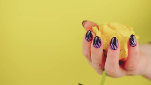 Adult womans hand with yellow flower. Crop unrecognizable person with manicure holding gerbera on yellow background. — Stock Video