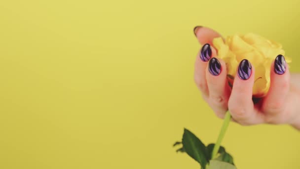 Donne adulte mano con fiore giallo. Ritaglio persona irriconoscibile con manicure che tiene gerbera su sfondo giallo. — Video Stock