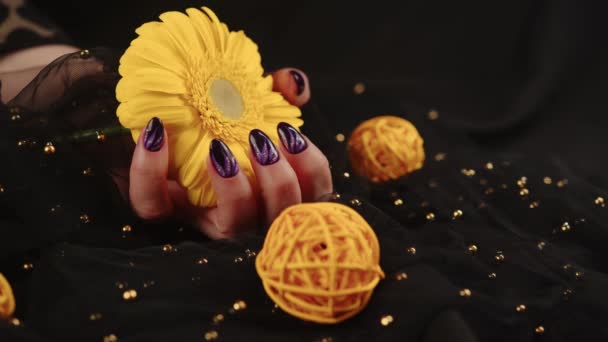 Ενηλίκων γυναικών χέρι με μωβ μανικιούρ σε μαύρο φόντο. Περικοπή αγνώριστος πρόσωπο με σχεδιασμό για τα νύχια που κατέχουν κίτρινο λουλούδι. — Αρχείο Βίντεο