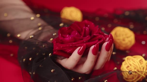 Frauenhand mit roter Rosenknospe auf rotem Hintergrund. Weibliche Hand mit roter Maniküre im schwarzen Schleier hält Blütenkopf. — Stockvideo