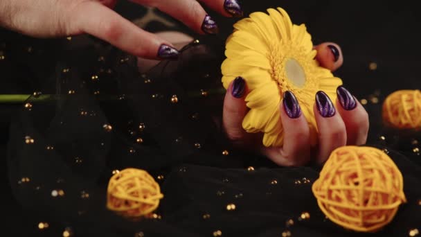 Adult womans hand with purple manicure on black background. Crop unrecognizable person with design on nails holding yellow flower. — Stock Video
