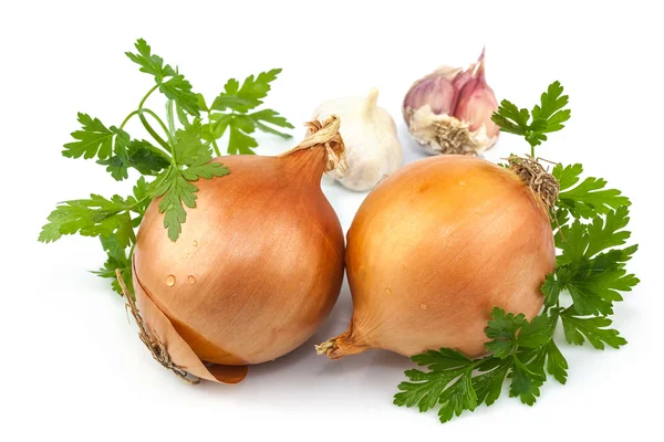 Onion and garlic with parsley — Stock Photo, Image