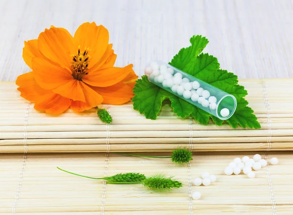 Homeopathic medication with flowers and leaves — Stock Photo, Image