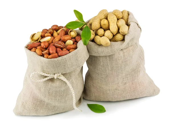 Säcke Erdnüsse mit grünen Blättern — Stockfoto