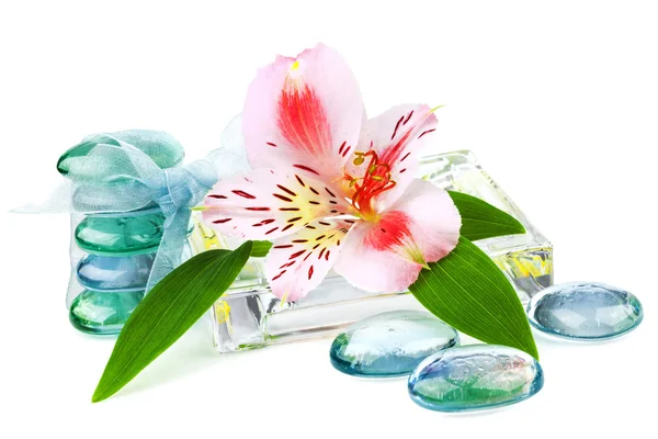 Conceito de spa transparente com flor — Fotografia de Stock