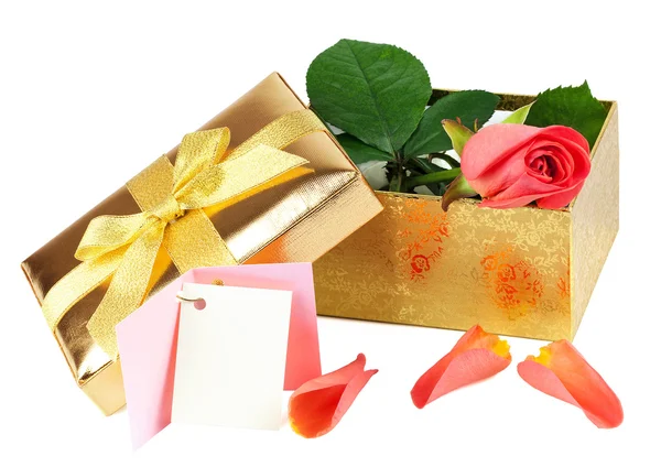 Роза в открытой золотой коробке — стоковое фото