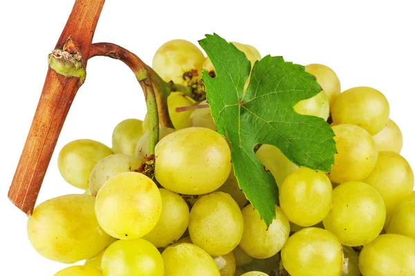 Куча винограда с зеленым листом — стоковое фото