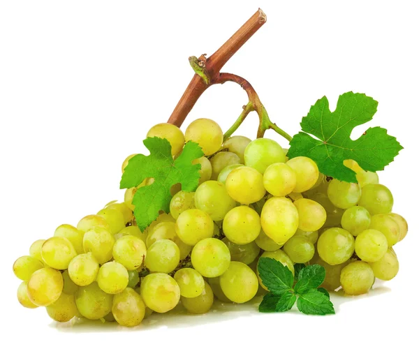 Racimo de uvas con hojas verdes —  Fotos de Stock