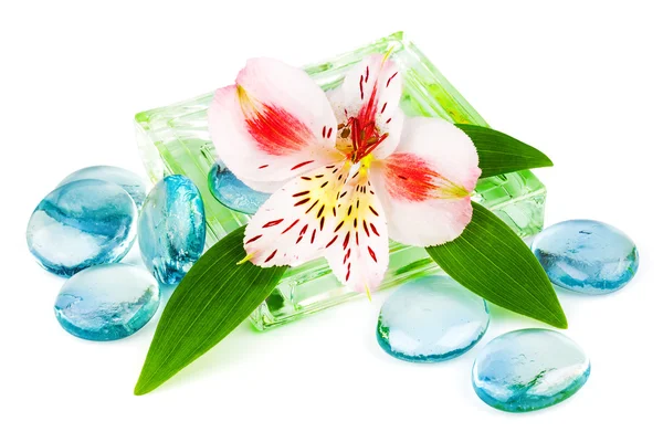 Clarity spa concept with flower — Stock Photo, Image