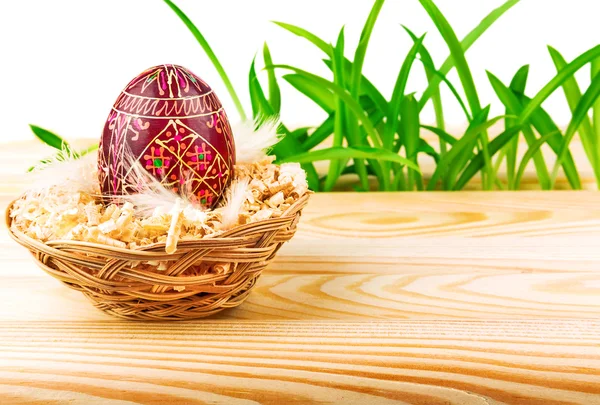 Easter egg in nest — Stock Photo, Image