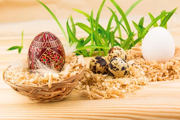 Three nests with eggs — Stock Photo, Image