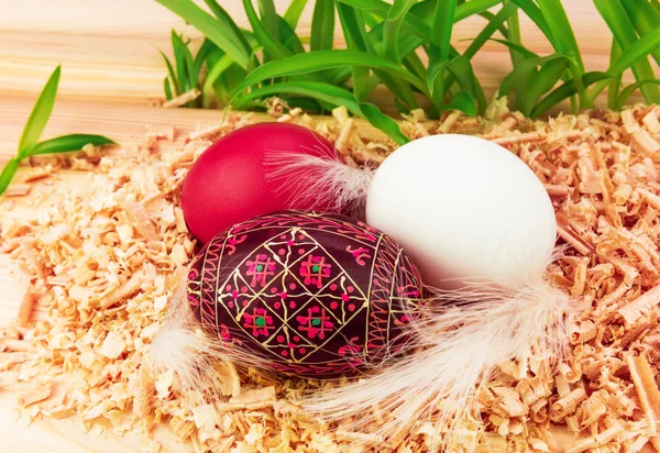 Three Easter eggs in nest — Stock Photo, Image