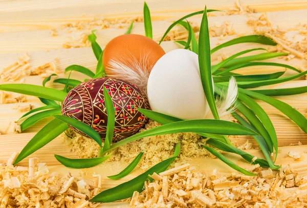 Tre egg i reir fra gress – stockfoto