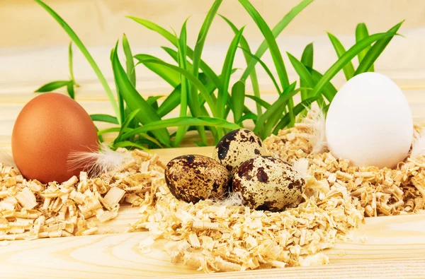 Tre reir med ferske egg – stockfoto