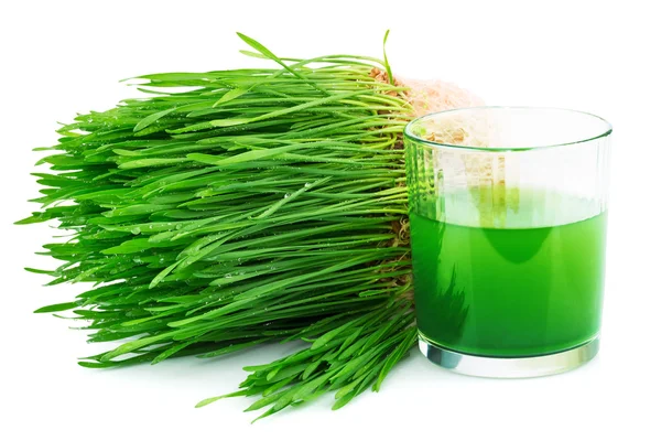 Wheatgrass juice with sprouted wheat — Stock Photo, Image