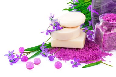 Bahar konseptiyle sabunu ve kardelen