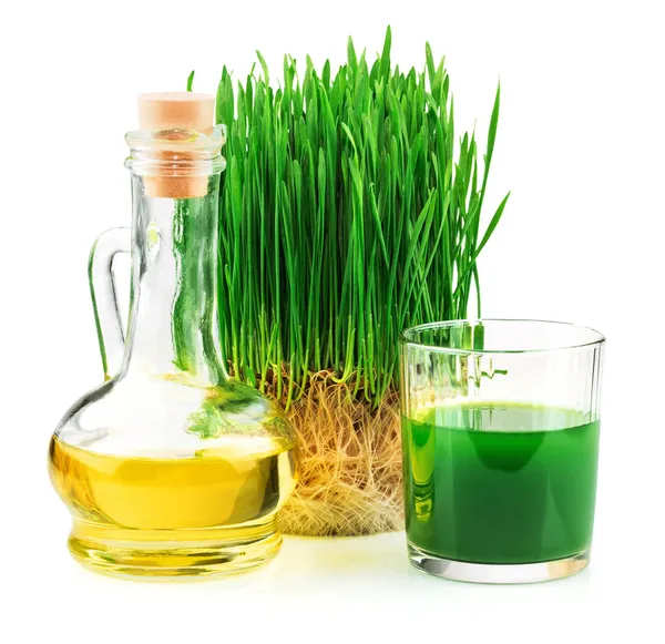 Wheatgrass juice with sprouted wheat and wheat germ oil — Stock Photo, Image