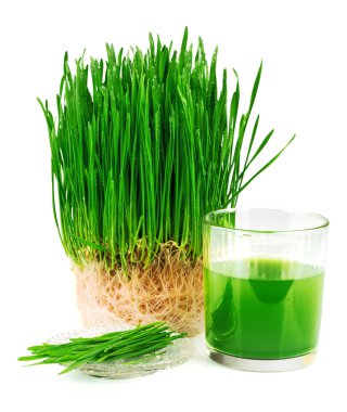 Wheatgrass juice with sprouted wheat on the plate clipart