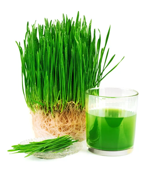 Wheatgrass juice with sprouted wheat on the plate — Stock Photo, Image