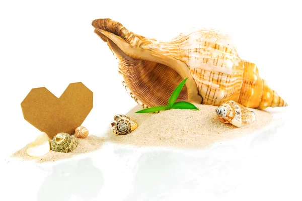 Spa concept with seashells and bamboo with heart shape from card — Stock Photo, Image