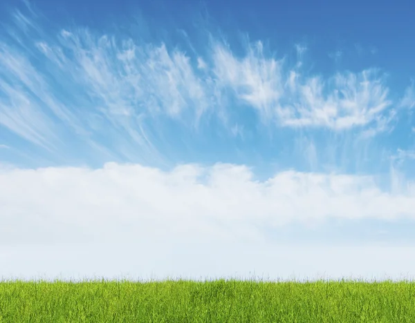 Blue sky with green grass — Stock Photo, Image