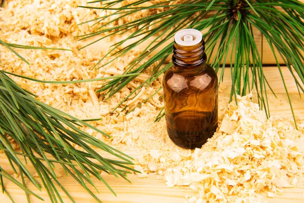 Glass bottle of oil, wooden sawdust, pine branches and logs — Stock Photo, Image