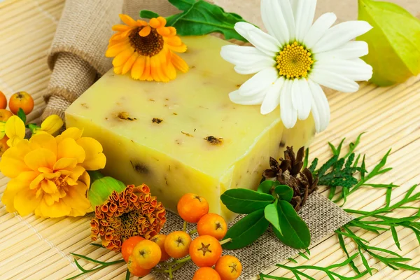 Natural soap, different  berries and flowers — Stock Photo, Image