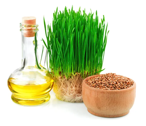 Wheat sprouts, wheat seeds in the wooden bowl and wheat germ oil — Stock Photo, Image