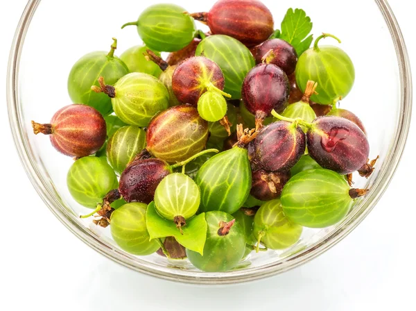 Gooseberries in a bowl Stock Picture
