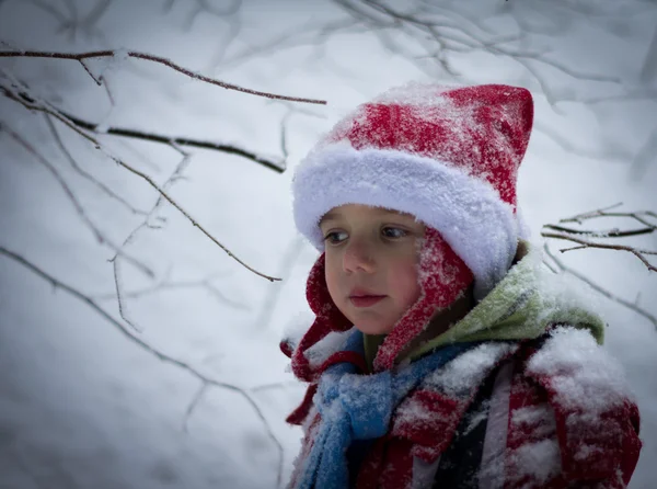 Junge im Winterwald — Stockfoto