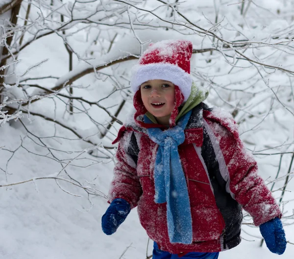 Niño en el bosque de invierno — Foto de Stock